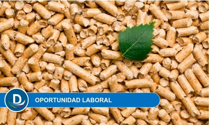 Empresa productora de pellet necesita operadores de planta y ayudantes de producción