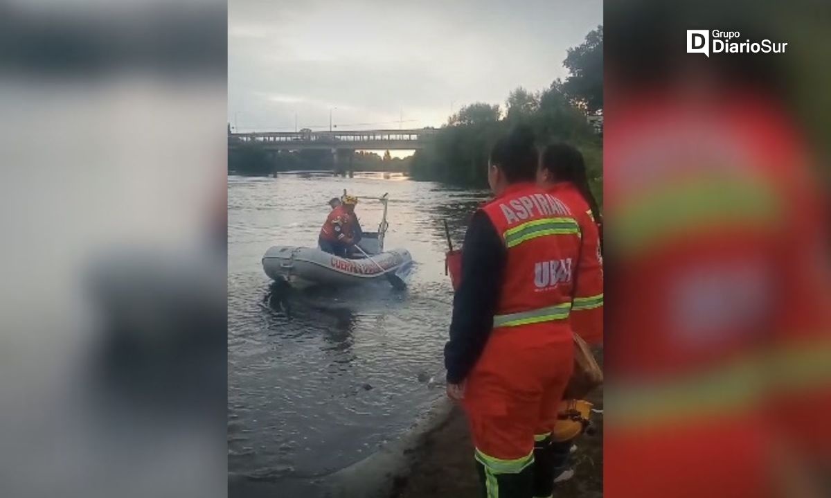Osorno: unidades especializadas buscan a persona que habría caído al río Rahue