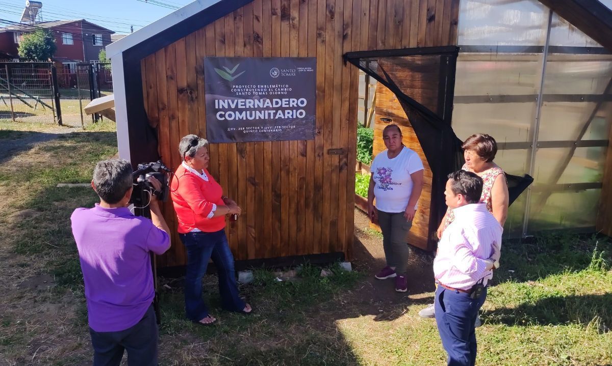 Familias beneficiadas del proyecto Huertos Comunitarios de Santo Tomás Osorno comenzaron a cosechar sus vegetales para el autoconsumo 