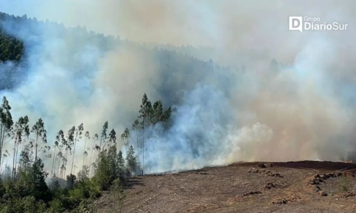 Purranque: declaran alerta amarilla por incendio forestal