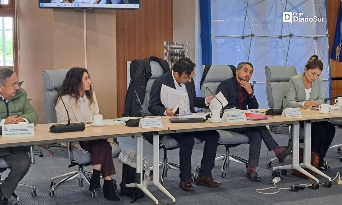 Consejo Regional de Los Lagos aprueba pronunciamiento positivo del Gobierno Regional para proyecto habitacional en Osorno