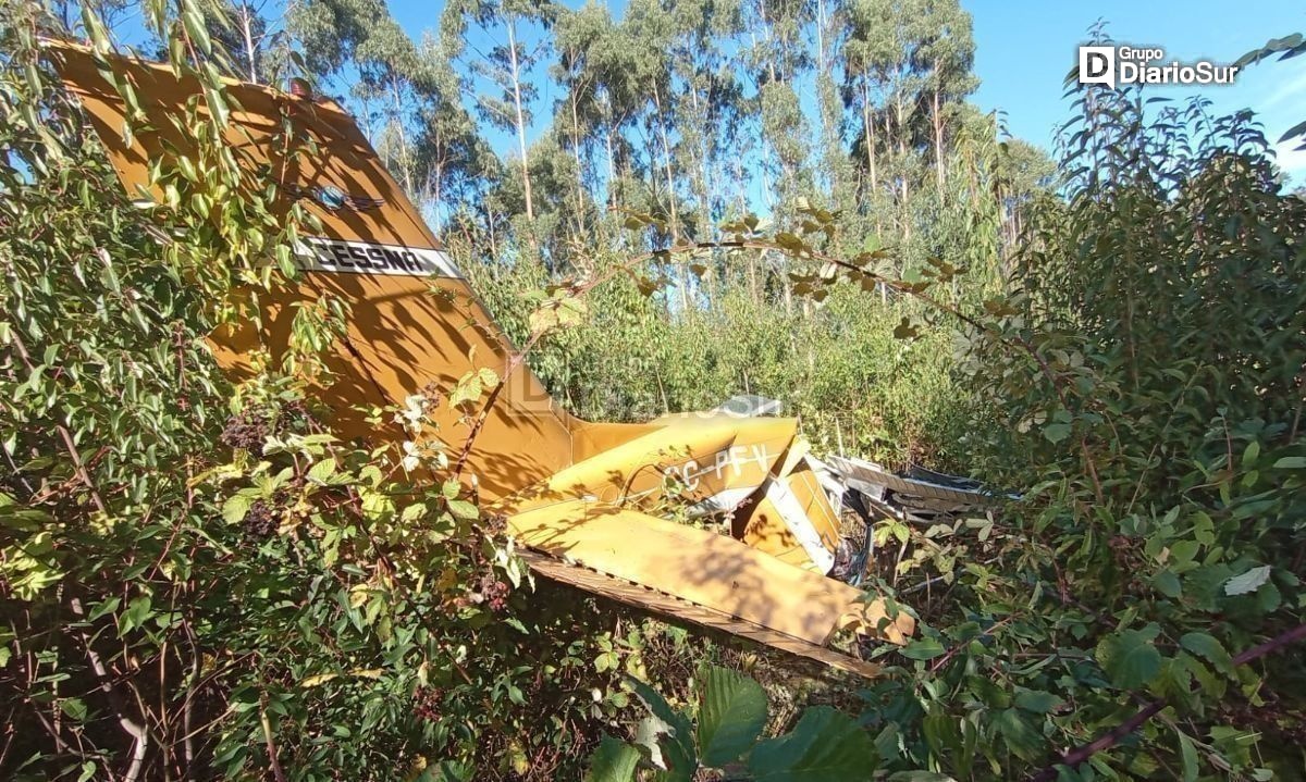Accidente aéreo en Los Ríos: confirman que fallecido es el piloto de la avioneta