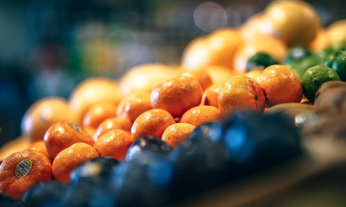 EEUU ya preparándose para recibir clementinas y naranjas chilenas