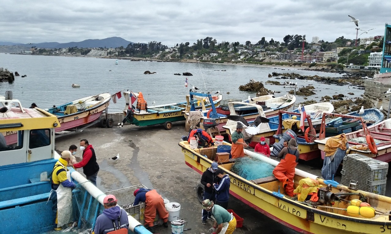 Elaboran plan de acción para disminuir pérdidas y desperdicios pesqueros en caletas 