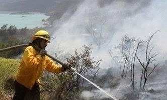 Alerta Amarilla en incendio forestal que afecta a la comuna de Calbuco