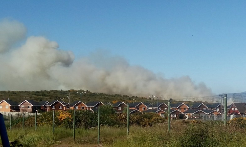 Incendios forestales dejaron 622 Hectáreas afectadas en esta temporada 