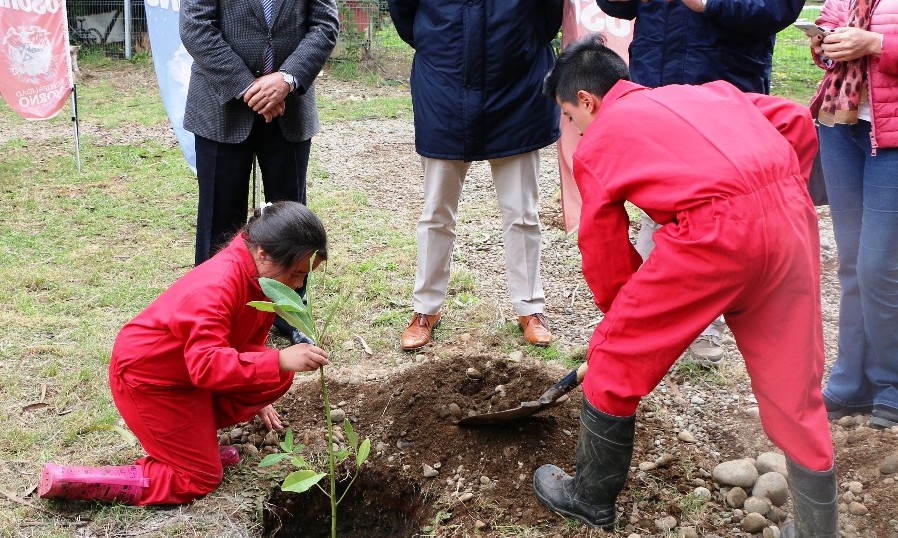 Con plantación de árboles nativos, la Escuela rural de Pichil celebró el "Día de la Tierra"