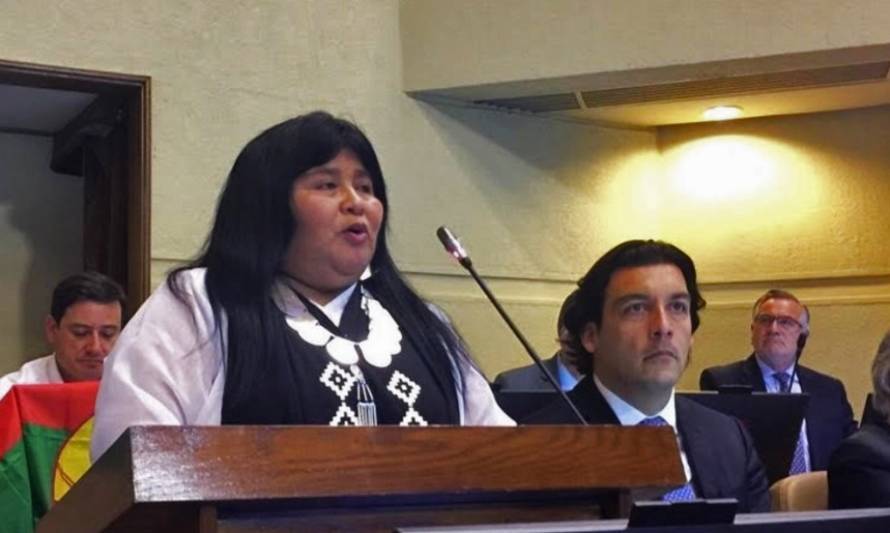 Diputada Nuyado: "Es primera vez en 500 años que el pueblo mapuche puede ser escuchado". 