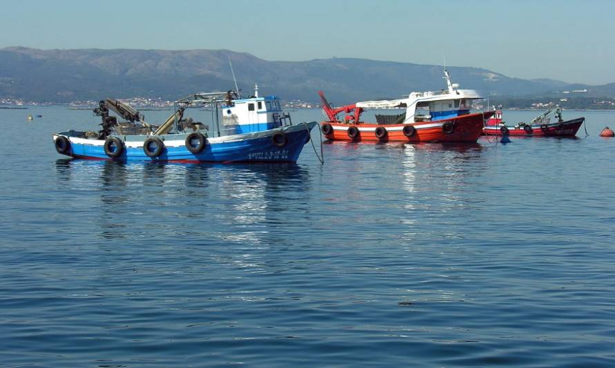 El  29 de junio podría convertirse en el Día Nacional de la Pesca Artesanal