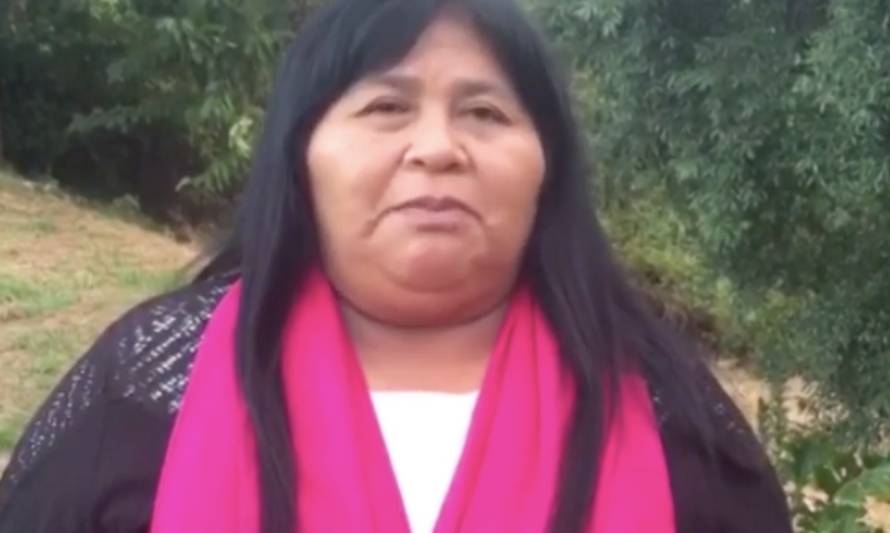 Diputada Nuyado criticó a subsecretario Ubilla por vincular incendios con causa mapuche