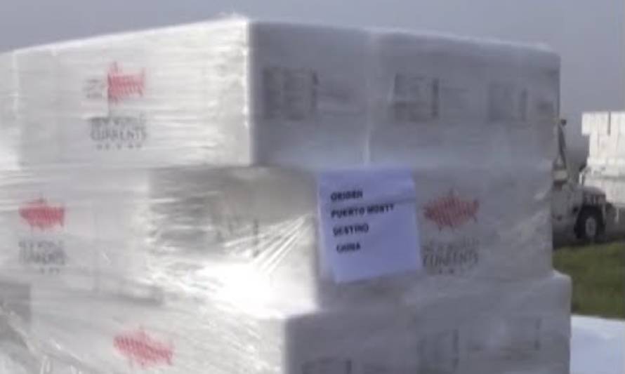 Se concretó envío aéreo de salmones desde Puerto Montt hasta China