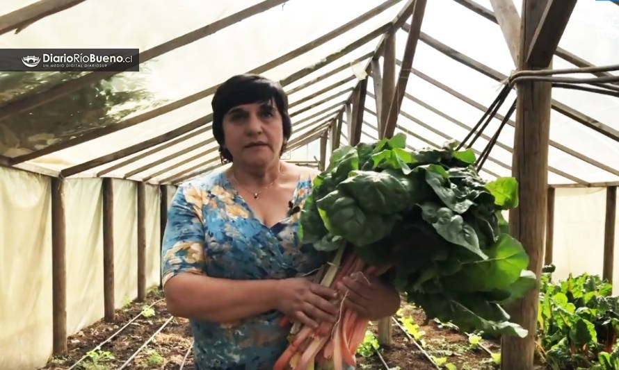 [VIDEO] Nelly Ríos, la emprendedora de Río Bueno comprometida con la agricultura sustentable