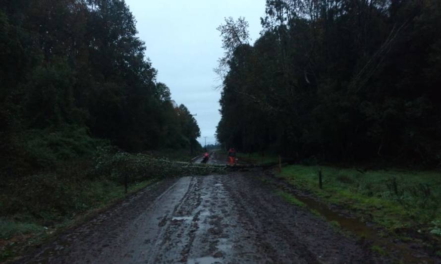 SAESA informó que red eléctrica resistió de buena manera sistema frontal en la provincia de Osorno