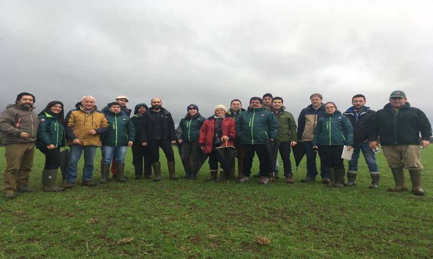 INIA dicta taller de Identificación de especies forrajeras utilizadas en el sur de Chile