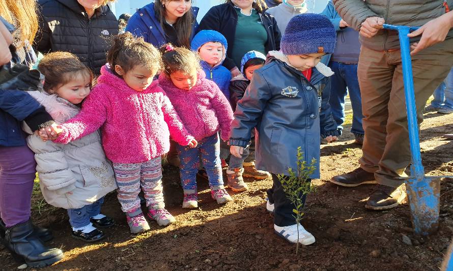 Con plantación de especies nativas celebran Día Internacional del Árbol en Purranque