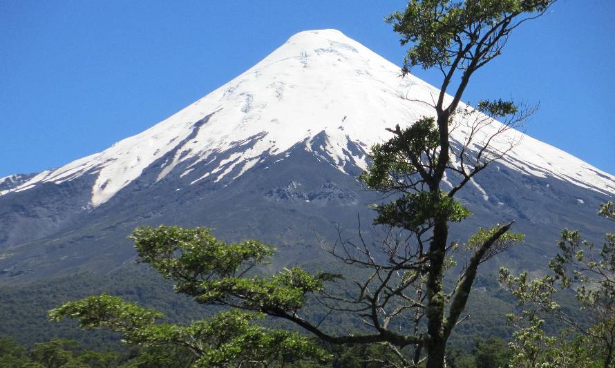 Conaf reabre acceso a cumbre del Volcán Osorno