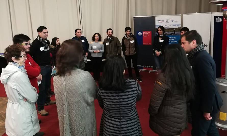 Diversas actividades se desarrollan en Puerto Varas previas al Foro APEC