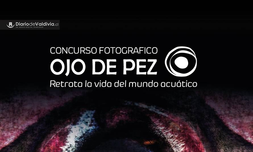 Últimos días para participar en el Concurso Fotográfico Ojo de Pez 2019