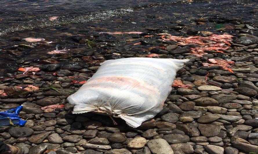 Sernapesca y Carabineros llevan a cabo nuevo operativo en lago Rupanco