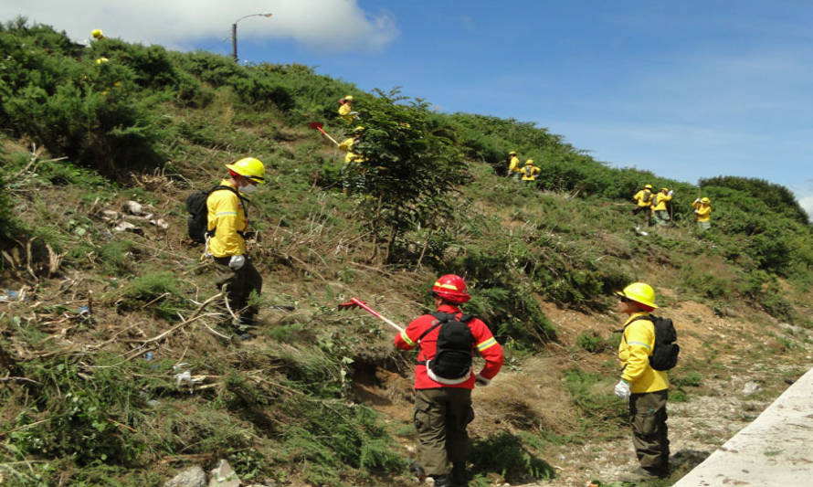 ONEMI Los Lagos en alerta temprana por riesgo de incendios forestales