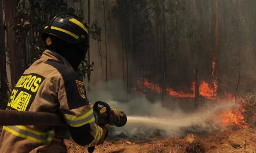 Se declara Alerta Roja para la comuna de Hualaihué por incendio forestal