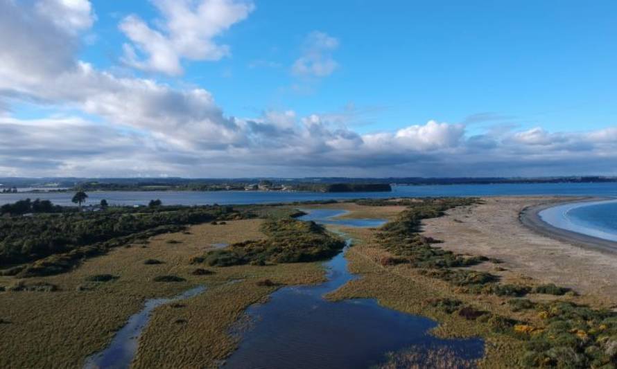 Preocupación en Maullín por proyecto eólico que podría amenazar Santuario de la naturaleza