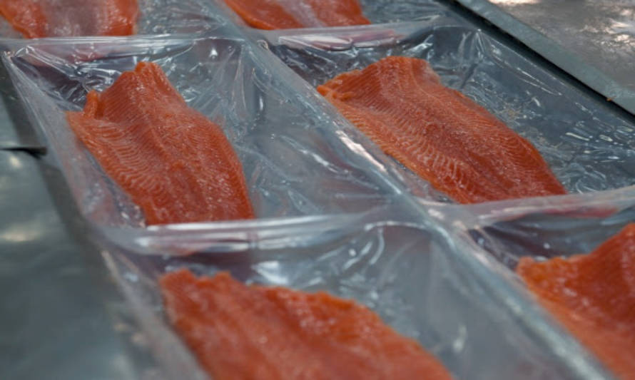 Suspenden exportaciones de salmón a China