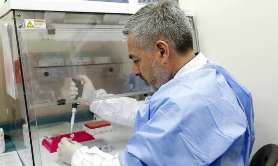 Confirman 23 nuevos casos de Coronavirus en Los Lagos: Cifra regional sube a 151 contagios