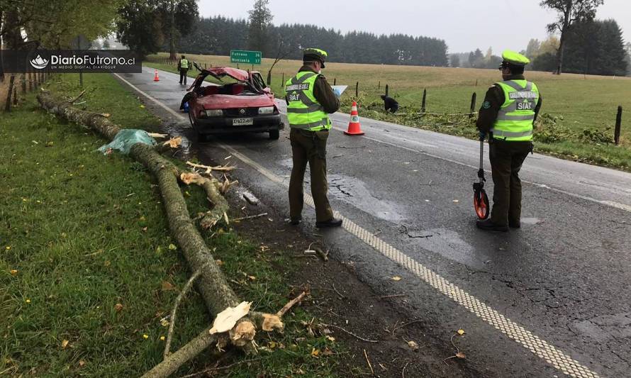 Árbol cayó sobre automóvil camino a Futrono: hombre falleció y otro está grave