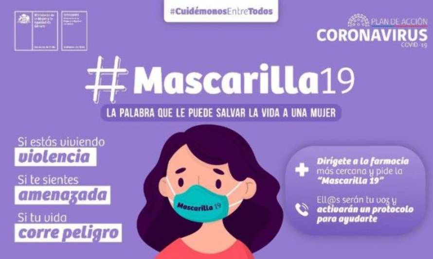 Plan «Mascarilla 19», para protección de mujeres victimas de VIF llegó a Ancud