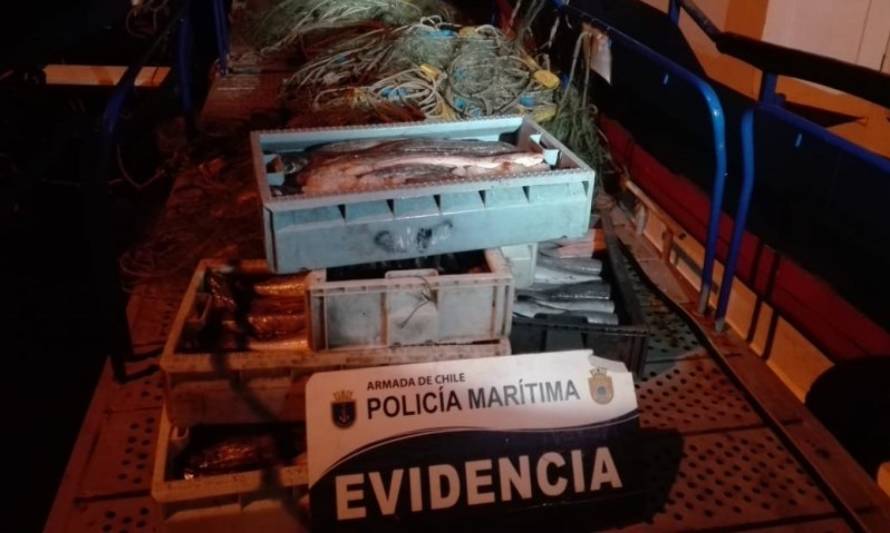 Chiloé: Armada incautó 150 kilos de Merluza Austral 