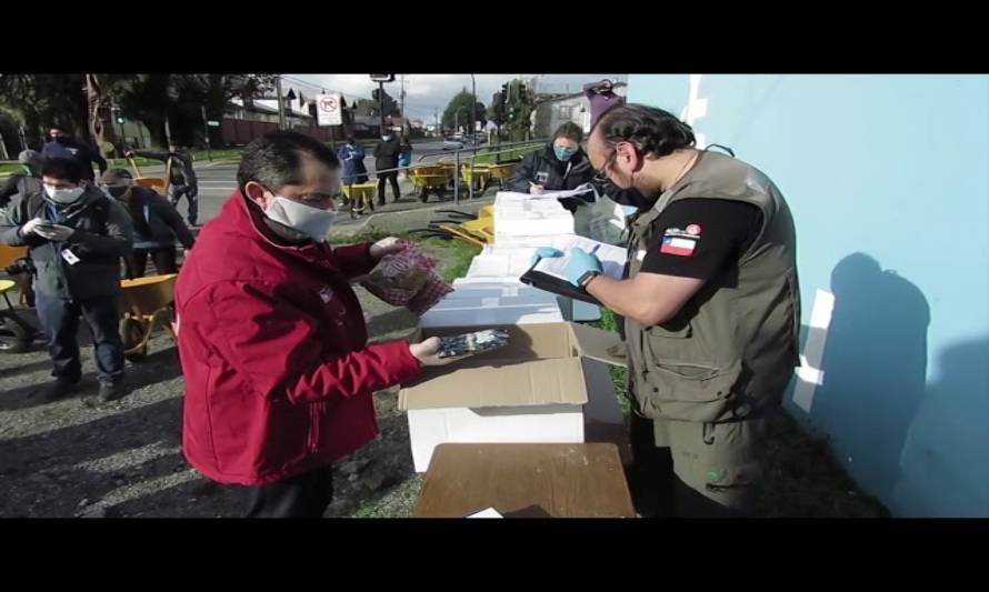 En Ancud  inició entrega de cajas de alimentos del CORE