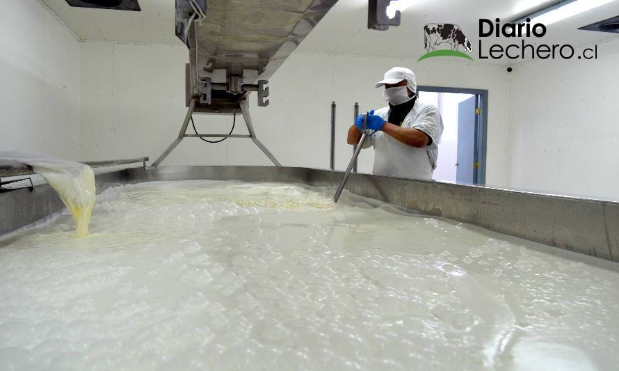 Recepción de leche anota crecimiento de 4,3% en Los Lagos