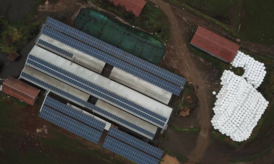 Socoepa y Cooprinsem ponen en marcha planta solar fotovoltaica en Purranque