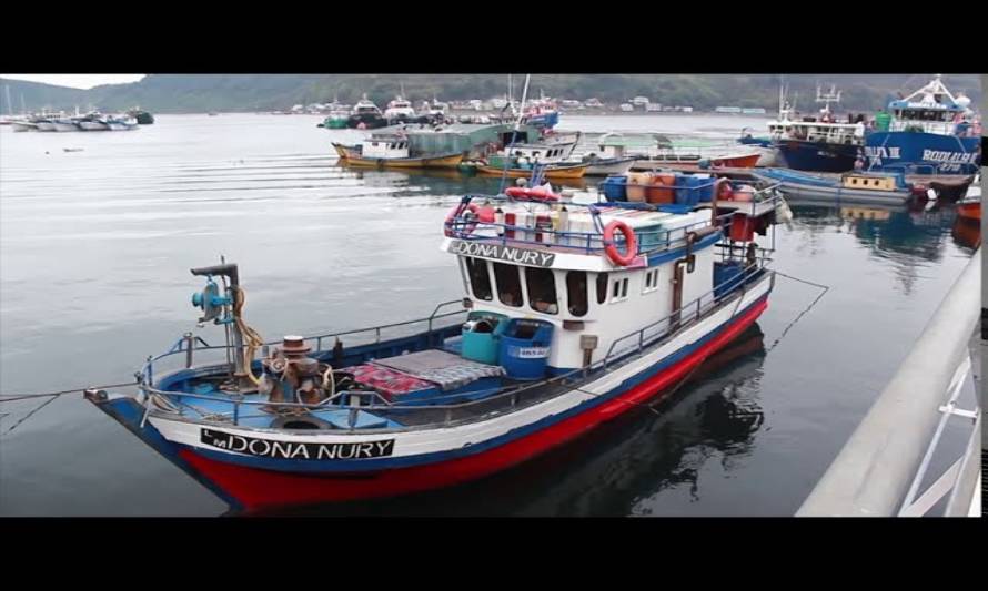 Crisis de la pesca artesanal afecta a caletas pesqueras de la región