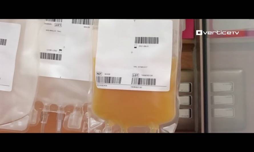 Primera donación de Plasma de paciente recuperado de COVID-19 en Pto. Montt