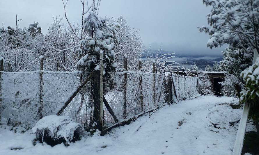 Nevazón sorprendió a la provincia de Osorno este viernes 