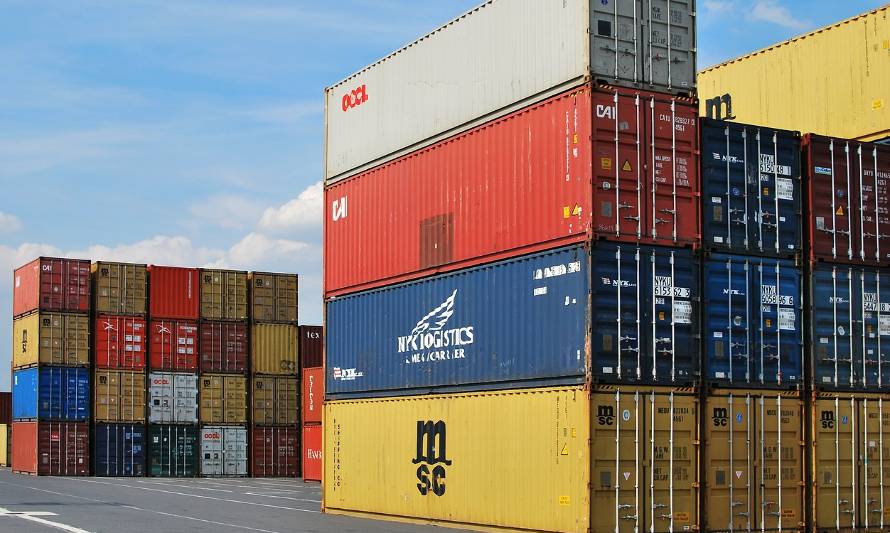 Exportaciones en Los Lagos subieron 0,8%  el segundo trimestre de 2020