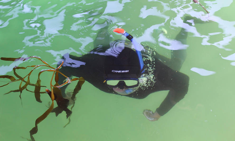 Escuela de buceo ha capacitado a casi 50 trabajadores en la Región de Los Lagos