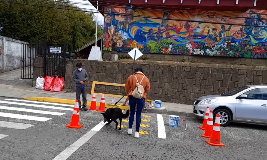 Realizan inédita demarcación de paso peatonal para mascotas