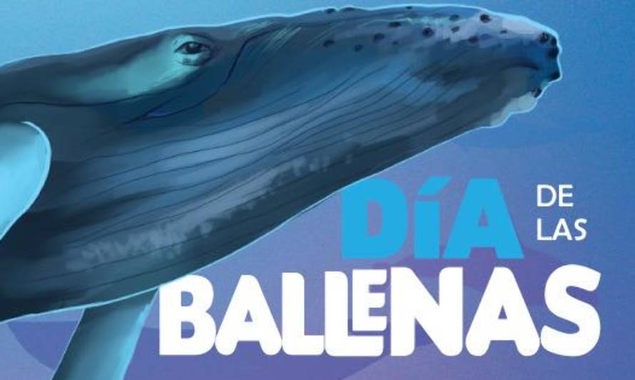 En el Día Mundial de las Ballenas hacen llamado a respetar la distancia de avistamiento