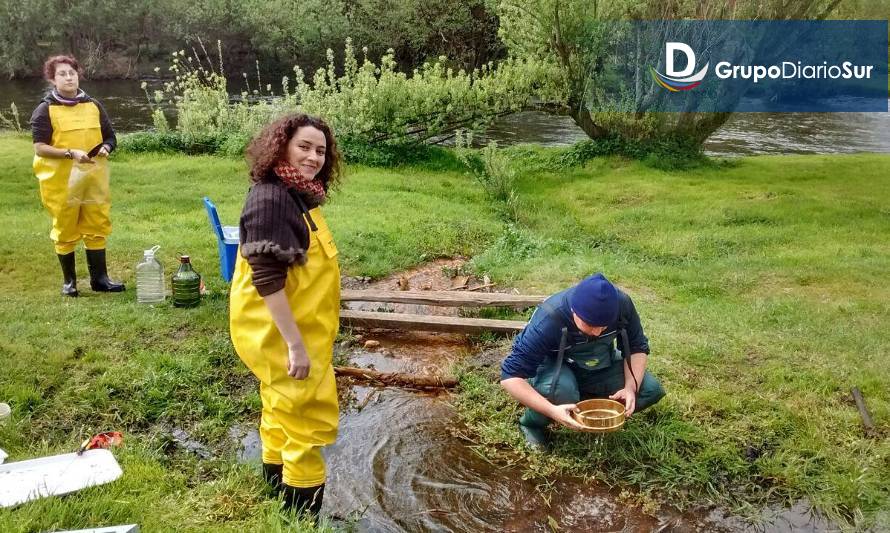 Por contaminación del río Damas municipio emplaza a Superintendencia de Medioambiente 