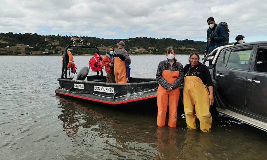 Ejecutivo destaca rol de mujeres mitilicultoras de la Región de Los Lagos