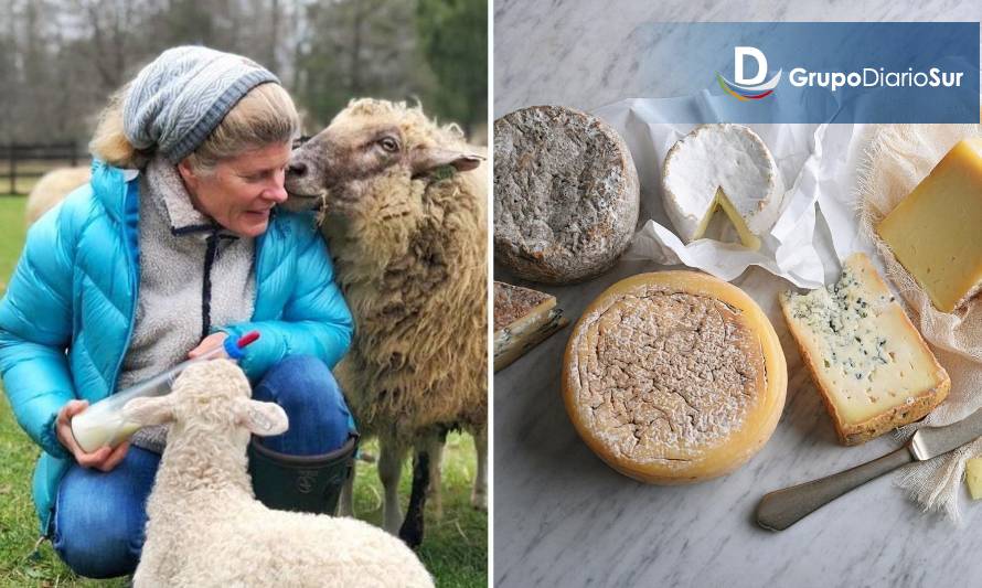 Familia sureña desarrolló innovador emprendimiento basado en ovejas vascas