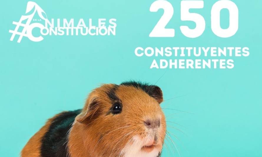 Más de 250 candidatos constituyentes se han adherido a la campaña #AnimalesEnLaConstitución