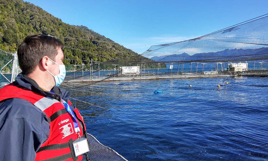 Bloom de algas: Sernapesca autoriza el traslado y cosecha anticipada de peces en el fiordo Comau