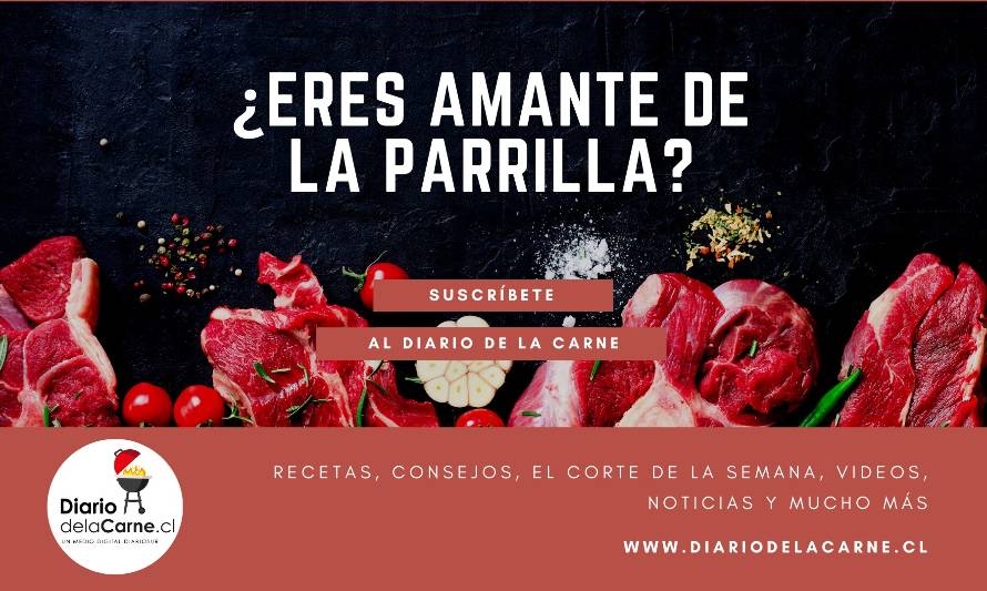 ¿Eres amante de la parrilla? Suscríbete al DiariodelaCarne.cl