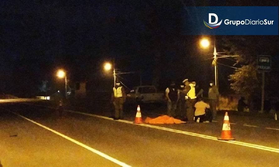 Trabajador falleció atropellado en ruta Entre Lagos-Osorno