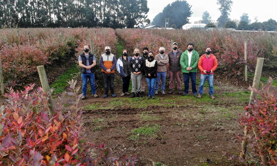 Cooprinsem realizó el lanzamiento del nuevo GTT Arándanos del Sur