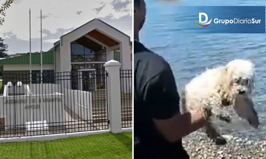 Formalizan por maltrato animal a sujeto que arrojó perrito al mar